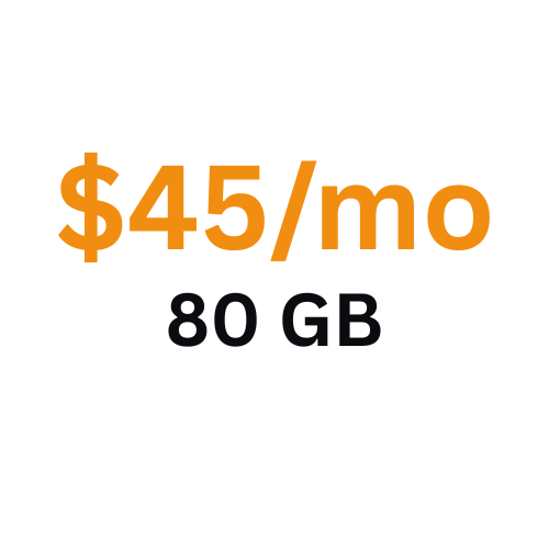 $45_mo 80 GB